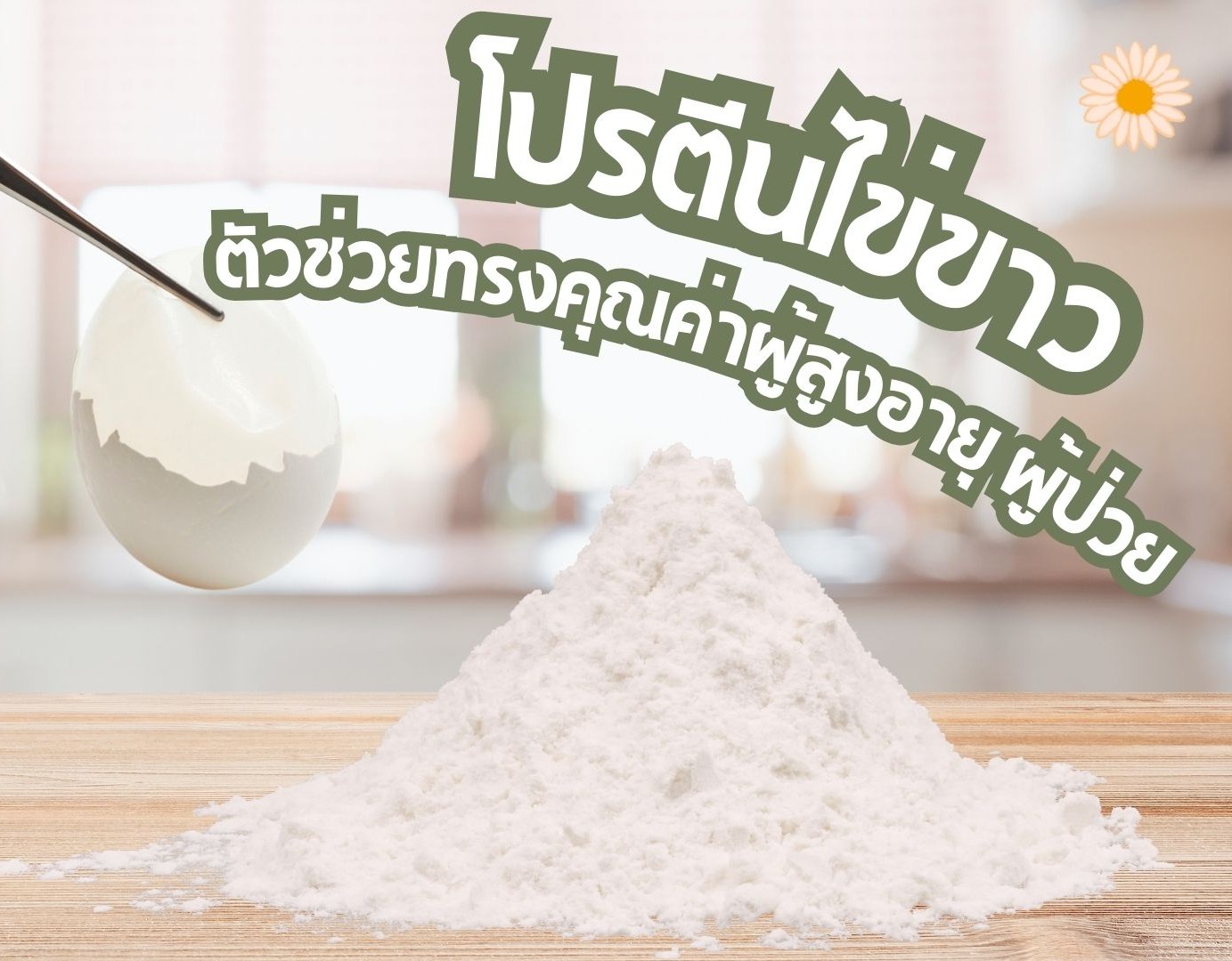 ประโยชน์โปรตีนไข่ขาว: ตัวช่วยสำคัญในการฟื้นฟูร่างกายผู้สูงอายุและผู้ป่วยพักฟื้น